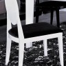AA018 Modern White/Black Lacquer Chair